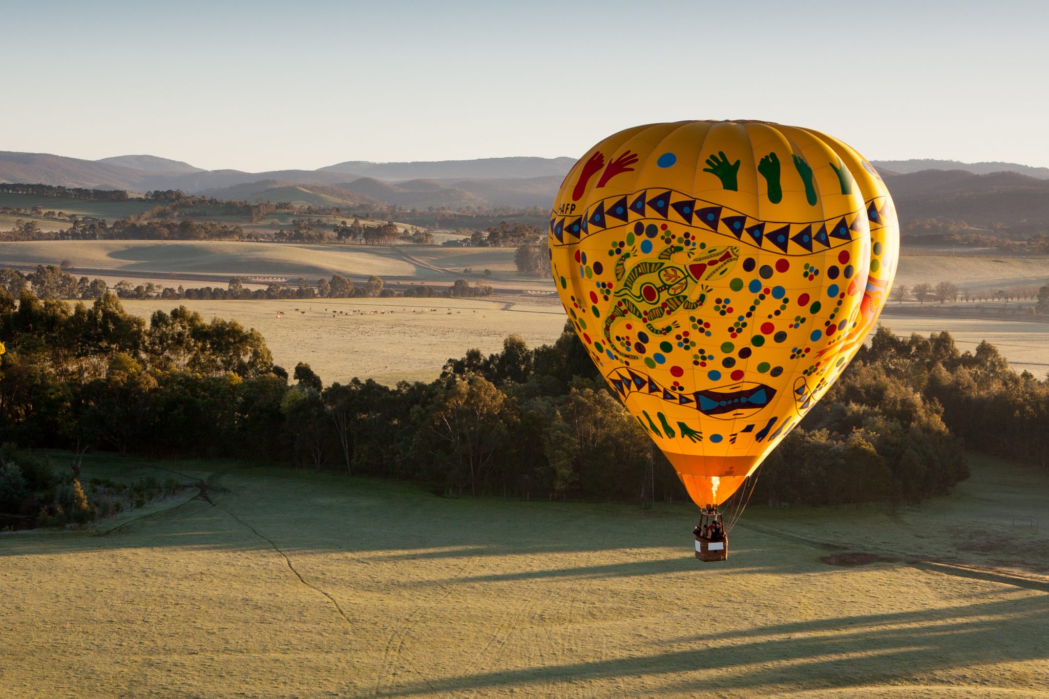 A valley of food and wine delights