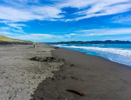 Kawhia New Zealand